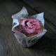 muffin2
