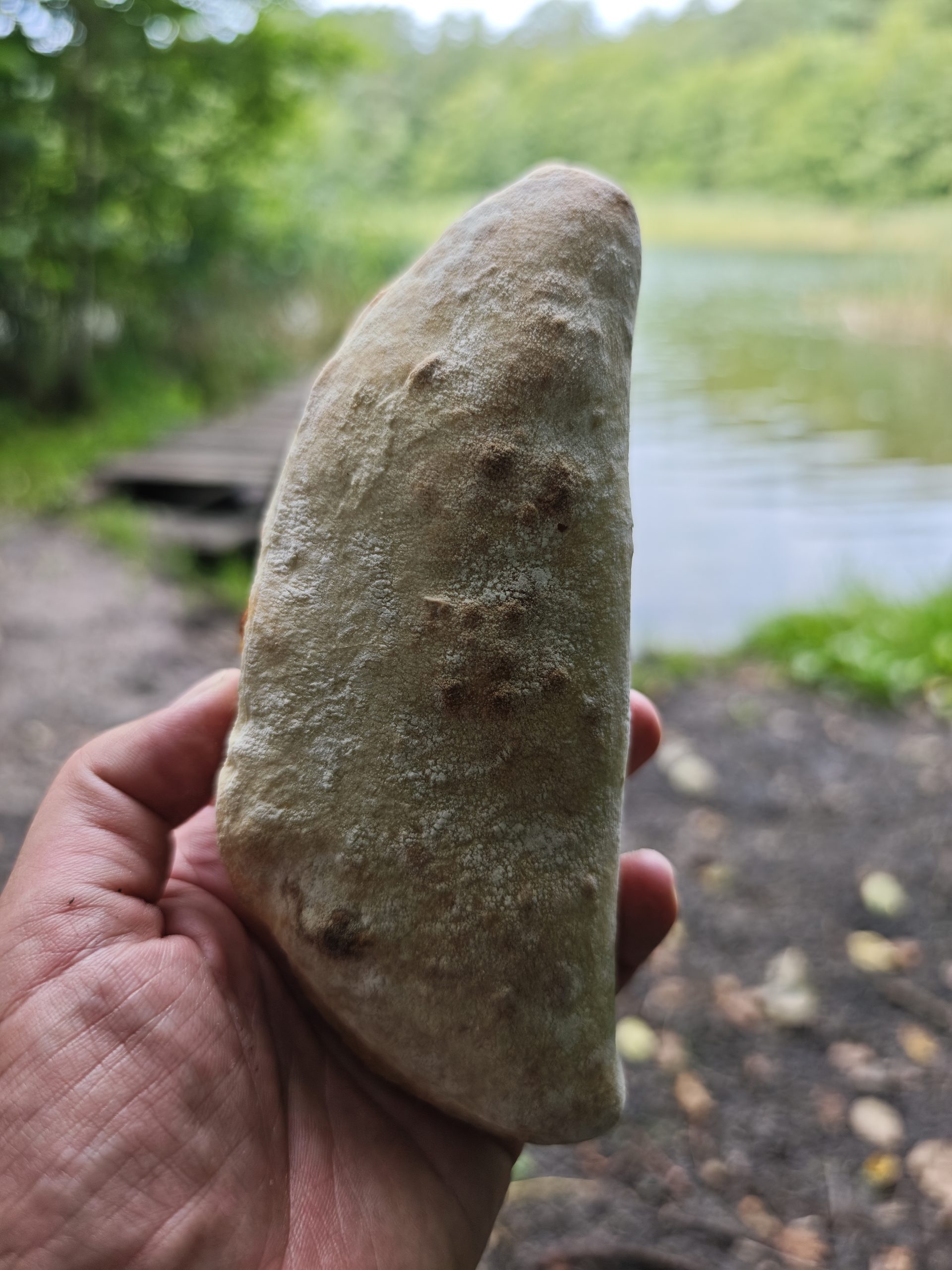 Przekąska kebab drobiowy – Lidl 4 (1)