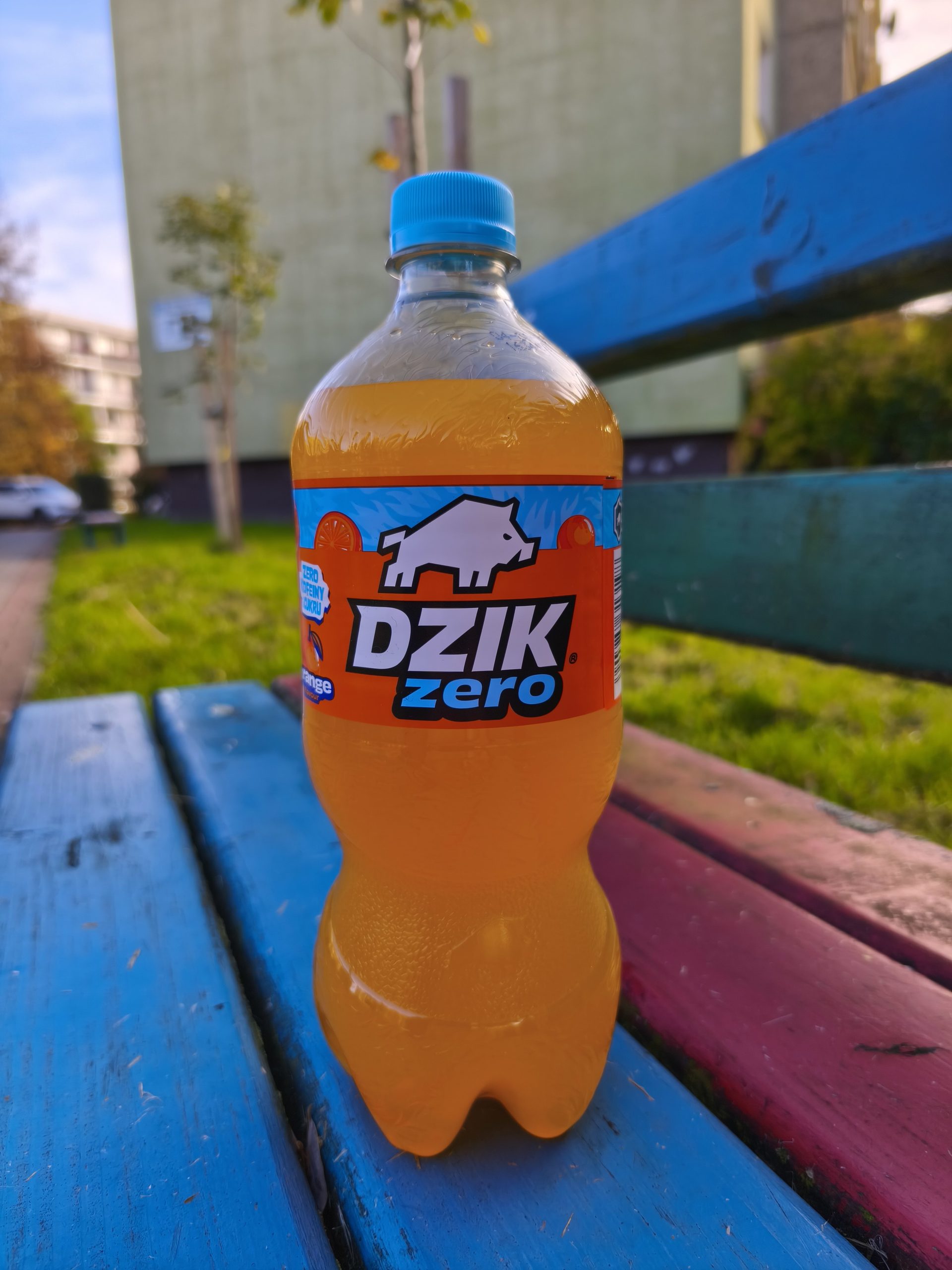 Dzik Zero Pomarańczowy 5 (1)