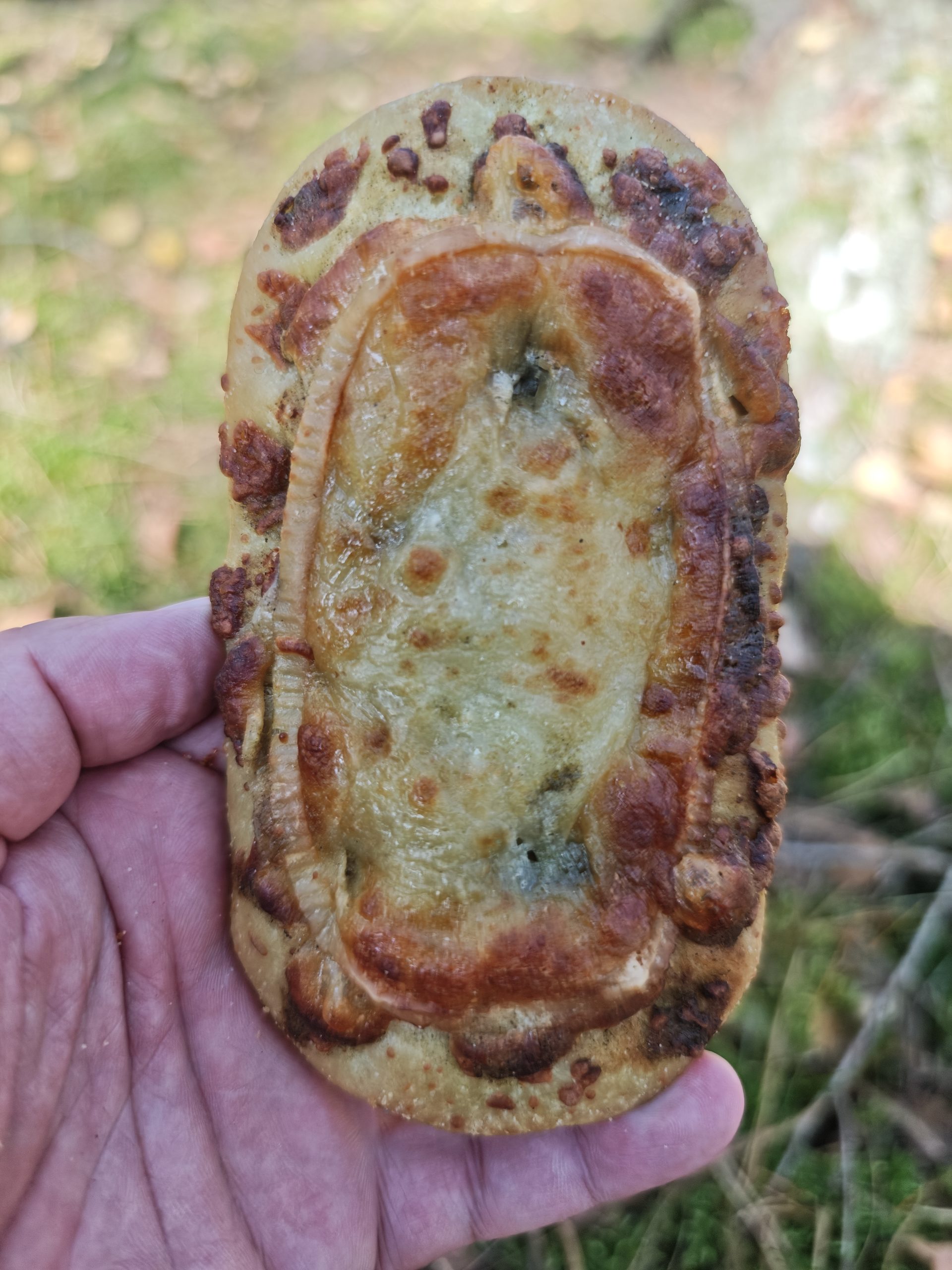 Focaccia Brie – Lidl 4 (1)